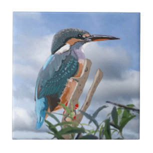 Carreau Kingfisher et Willow