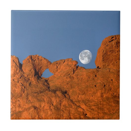Carreau Kissing Camels Rock Formation avec Pleine lune (Devant)
