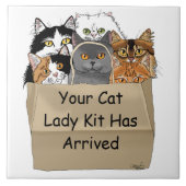 Carreau Kit de démarrage de Dame aux chats (Devant)