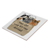 Carreau Kit de démarrage de Dame aux chats (Côté)