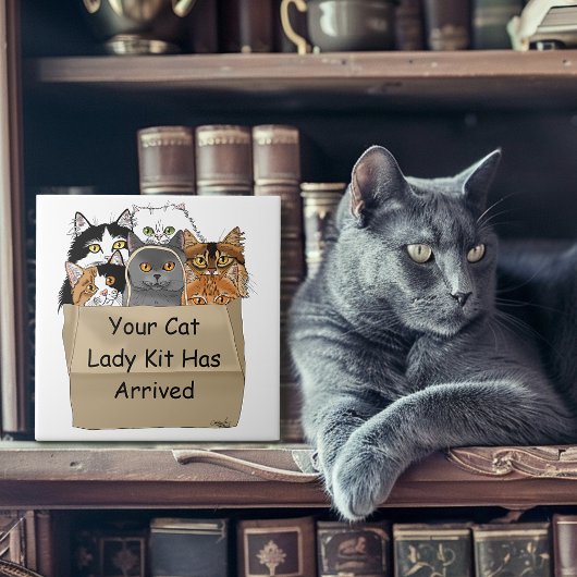 Carreau Kit de démarrage de Dame aux chats