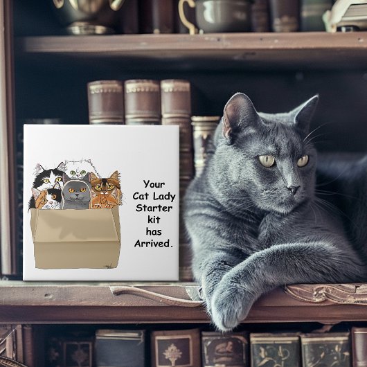 Carreau Kit d'entrée Lady Cat