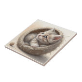 Carreau Kitten (Côté)