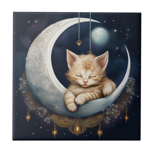 Carreau Kitten Asleep Sur L'Objet Crescent Moon (Devant)