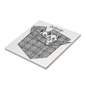 Carreau Kittens dans une boîte Thunder_Cove (Côté)