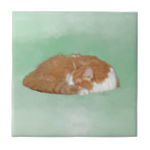 Carreau Kitty (Devant)