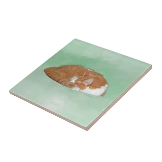 Carreau Kitty (Côté)