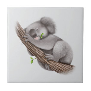 Carreau Koala Bear dort