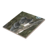 Carreau Koala mignon grimpant à un arbre (Côté)