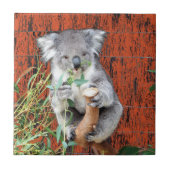 Carreau Koala Snack Time Carrelage en céramique (Devant)