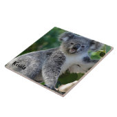 Carreau Koala : Un koala australien mignon (Côté)