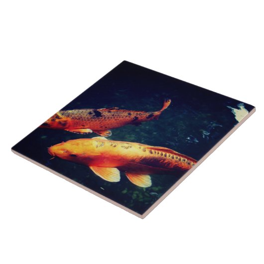 Carreau Koi (Côté)