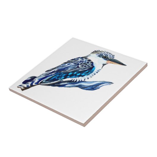 Carreau Kookaburra (Côté)