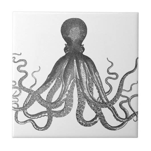 Carreau Kraken - Octopus géant noir / Cthulu (Devant)