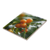 Carreau Kumquats sur Kumquat Tree Branch (Côté)