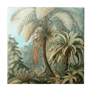 Carreau Kunstformen der Natur, Filicinae - Ernst Haeckel
