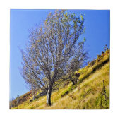 CARREAU L0NE TREE (Devant)