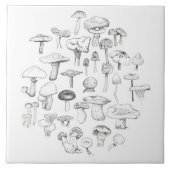 Carreau La bande de champignon (Devant)