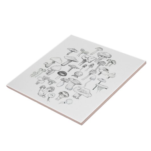 Carreau La bande de champignon (Côté)