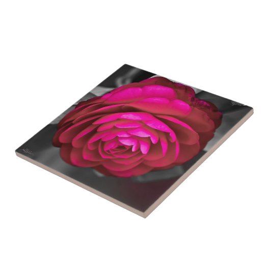 Carreau La Camellia Rosy (Côté)