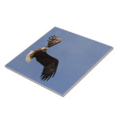 Carreau La Cartographie Du Ciel (Côté)