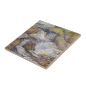 Carreau La cascade (Côté)