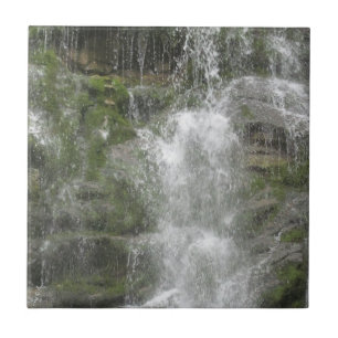 Carreau La cascade La Chute dans le parc national Forillon