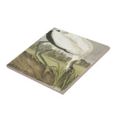 Carreau La cigogne en bois d'Audubons (Côté)