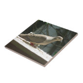 Carreau La colombe en deuil (Côté)