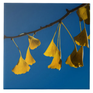 Carreau La danse en automne