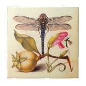 Carreau La faune de la libellule (Devant)