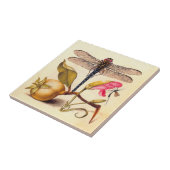 Carreau La faune de la libellule (Côté)