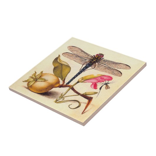 Carreau La faune de la libellule (Côté)