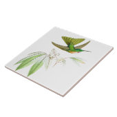 Carreau La faune d'oiseaux de colibri fleurit les animaux (Côté)