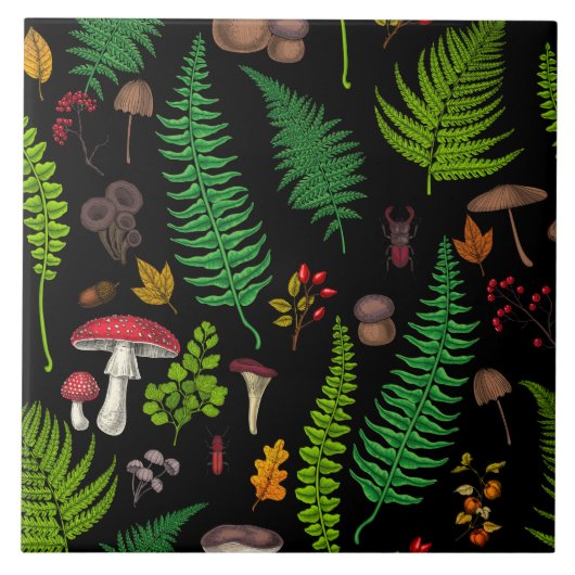 Carreau La faune et la flore des bois (Devant)