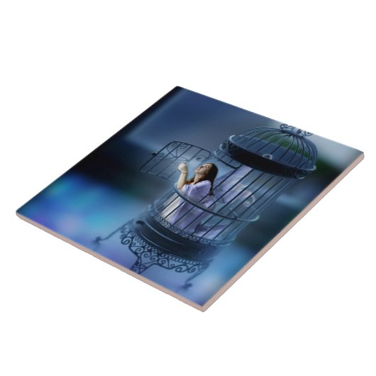 Carreau La fée lui échappant a doré la cage (Côté)