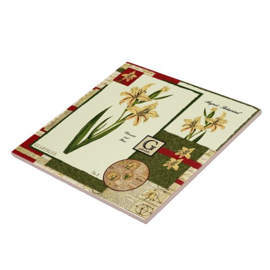 Carreau La fleur d'août (Côté)