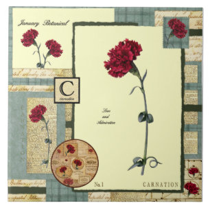 Carreau La fleur de janvier