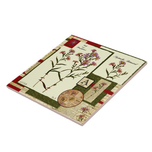 Carreau La fleur de septembre (Côté)