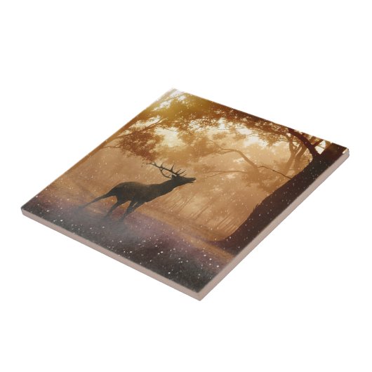 Carreau La Forêt (Côté)