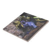 Carreau La grenouille bleue ne comprend pas l'espace perso (Côté)