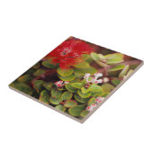 Carreau La Lehua S'Éclate Dans Les Volcans D'Hawaï (Côté)