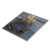 Carreau La loutre de mer joue sur les icebergs à Surprise (Côté)