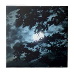 Carreau La Lune illumine la nuit derrière les branches d'
