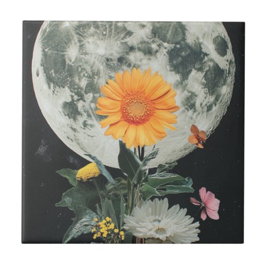 Carreau La Lune S'Éclate Sur Le Charme Rustique (2) (Devant)