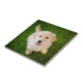 Carreau La marionnette d'or sur l'herbe (Côté)