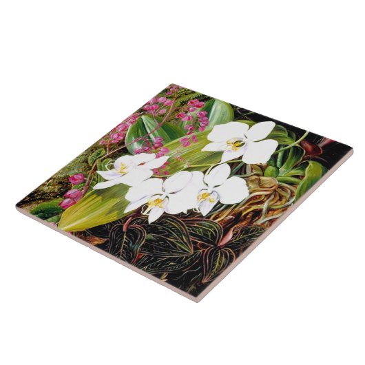 Carreau La Moth Orchid malaisienne et un Cerami américain (Côté)