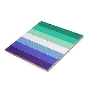 Carreau La palette de drapeau des hommes gays trans-inclus