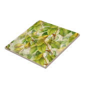 Carreau La Pera (Côté)