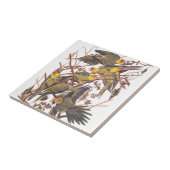 Carreau La perruque de Caroline d'Audubon (Côté)